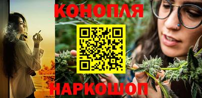 индика Заводоуковск