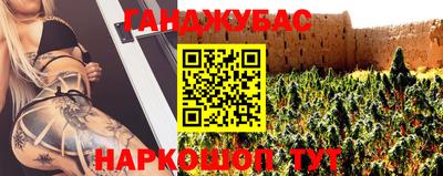 индика Заводоуковск