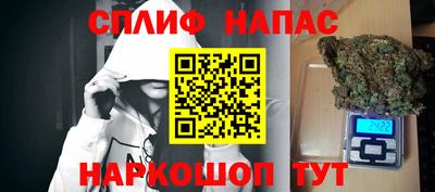 стафф Заволжье