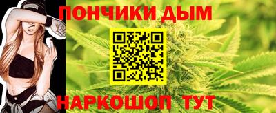 индика Заводоуковск