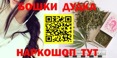 индика Заводоуковск