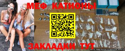 стафф Заволжье