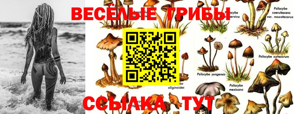 Унеча  даркнет сайт  Вход с VPN  Псилоцибиновые грибы Magic Shrooms 